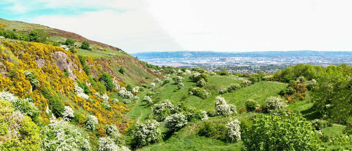 literarywalksuk's tweet photo. #Belfast#poetry ‘Community, fellowship, exchange’ #LouisMacNeice #JohnHewitt #JamesSimmons #SeamusHeaney #MichaelLongley #DerekMahon #CiaranCarson #TomPaulin #PaulMuldoon. Find this & 70 other #literarywalks at https://t.co/pYMurVWRo9 @VisitBelfast @BelfastBookFest https://t.co/jki1Wd0TdI