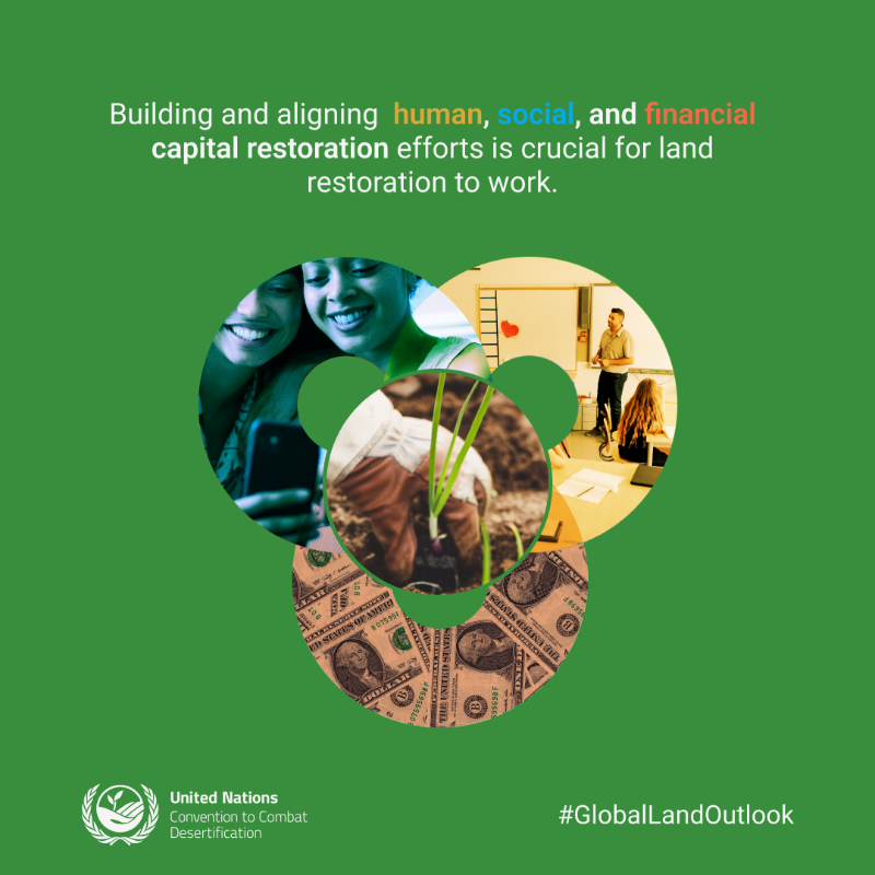ibrahimthiaw's tweet photo. Investing in large-scale #land restoration to combat desertification, soil erosion, and loss of agricultural production is a win-win solution. It is a win for the environment. It is a win for the climate. It is a win for the economy, and for the livelihoods of local communities.