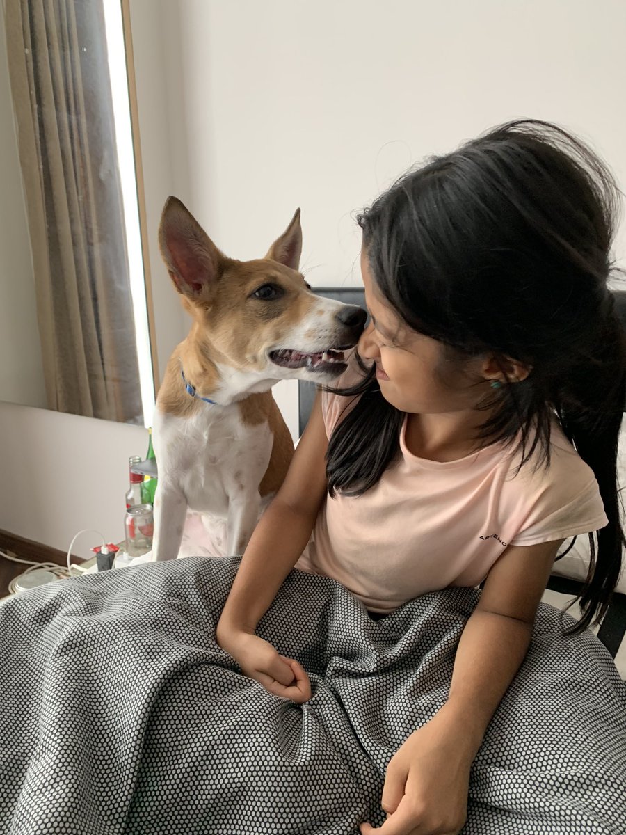 Falooly's tweet photo. #DailyDobby so nosy. https://t.co/oqyUpCalsz