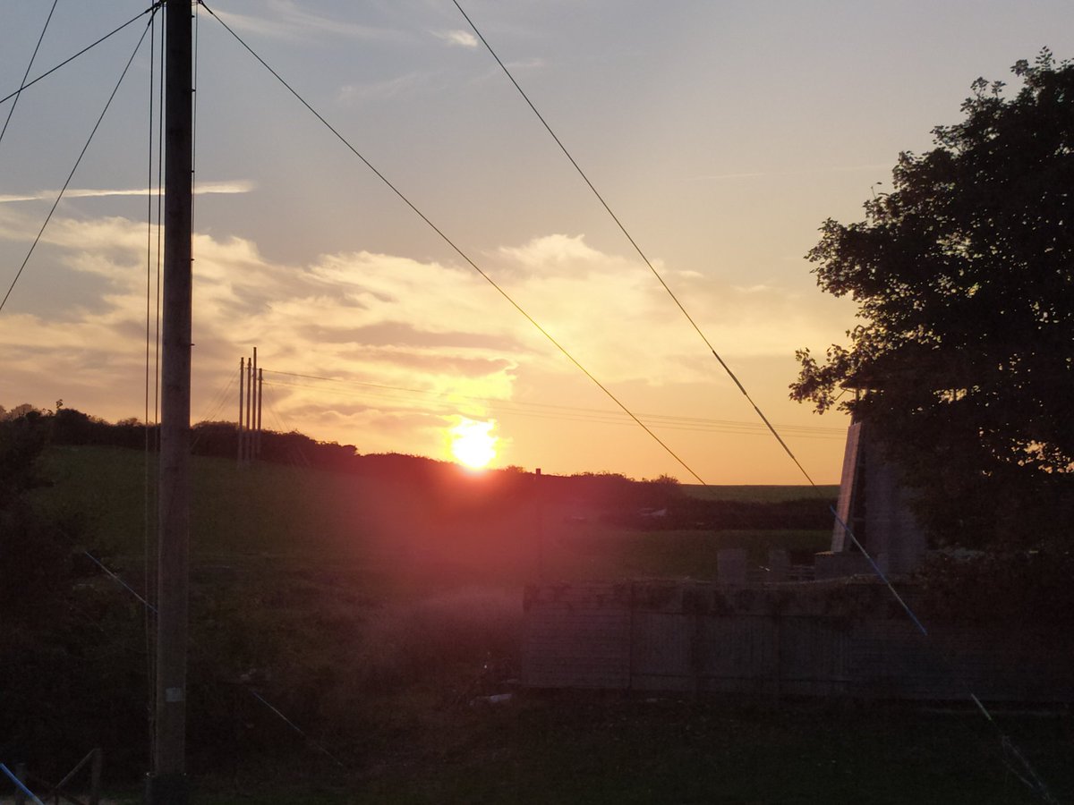 The Mount Stewart Schools Federation tweet media