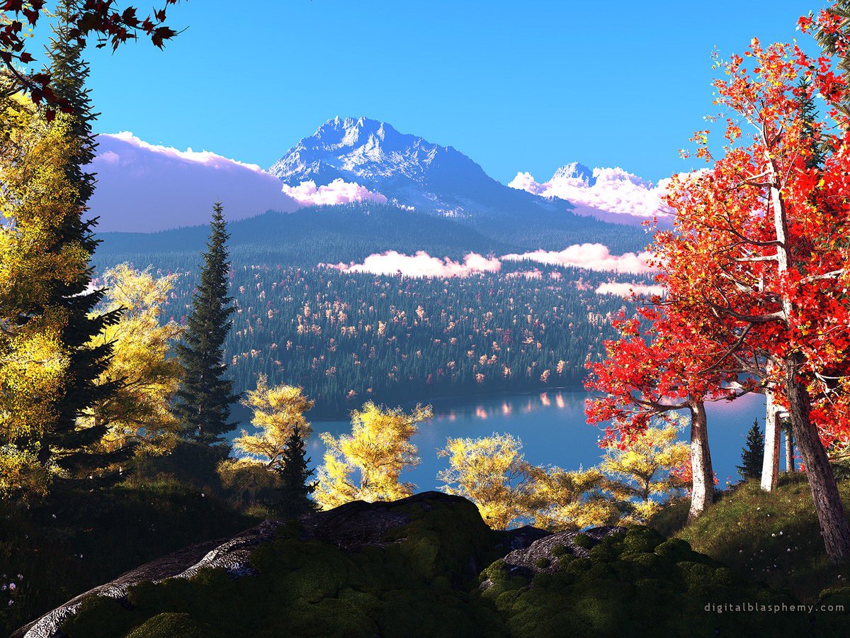 Ryan Bliss (𝐷𝑖𝑔𝑖𝑡𝑎𝑙 𝐵𝑙𝑎𝑠𝑝ℎ𝑒𝑚𝑦) tweet media