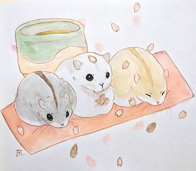 「動物 緑茶」のTwitter画像/イラスト(新着)