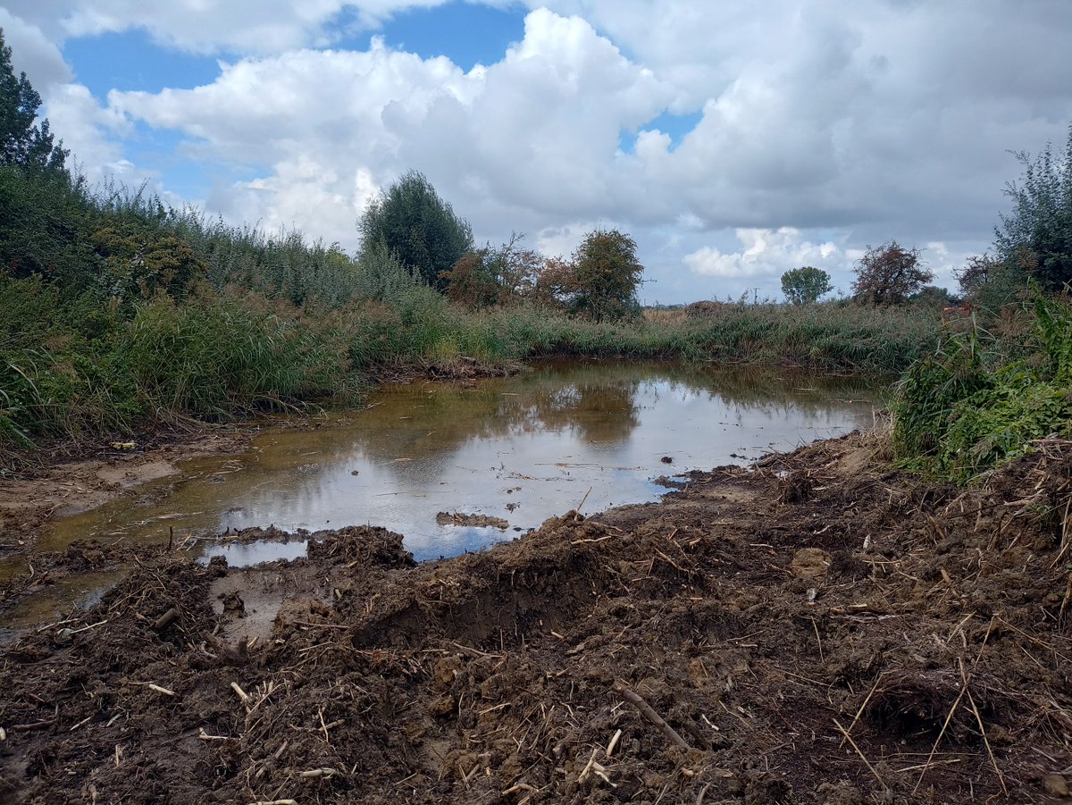 We have completed the restoration of a pond a ditch system on the edge of the Cam washes.  The pond had not been cleared for several decades and was full of silt with no open water.  We have reinstated the pond and ditch out to the River, as ideal fish nursery habitat.