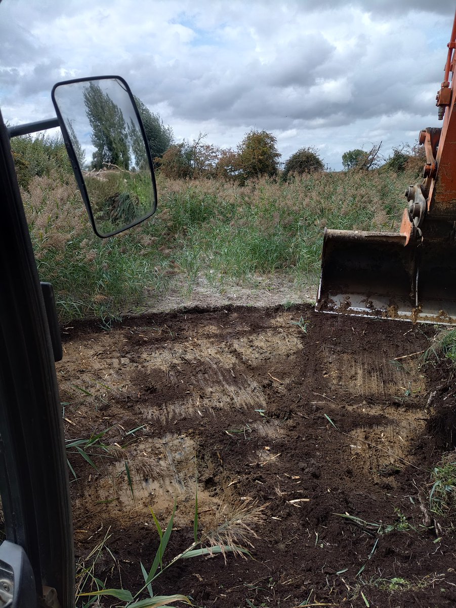 KingfishersBridgeNatureReserve tweet media