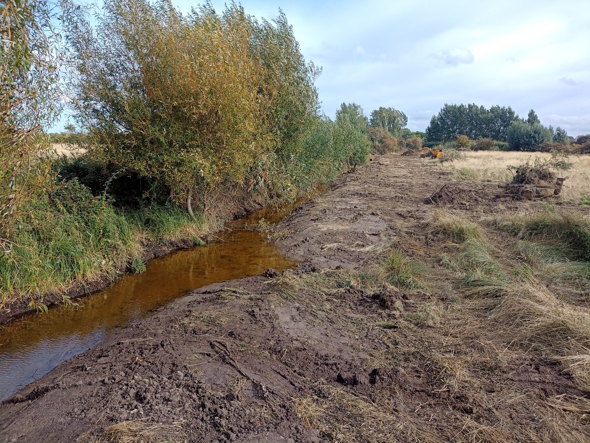 KingfishersBridgeNatureReserve tweet media