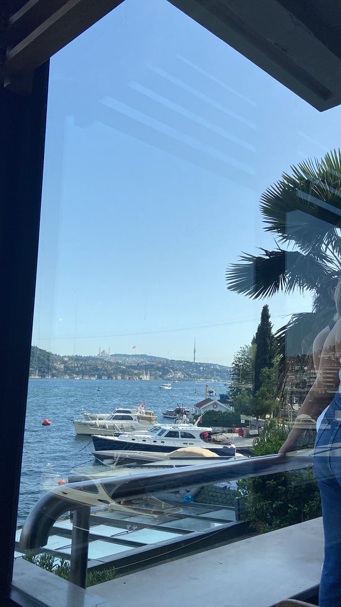 Ash Satoshi tweet media