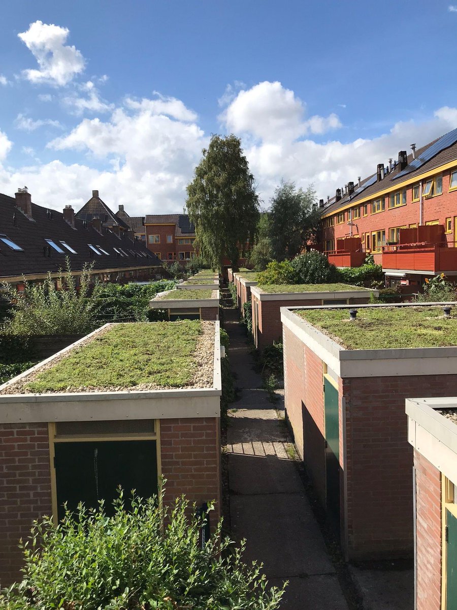 We hebben nog meer daken bij onze Nijestee bewoners in de Irislaan vergroend! Dat ziet er toch tof uit, of niet?