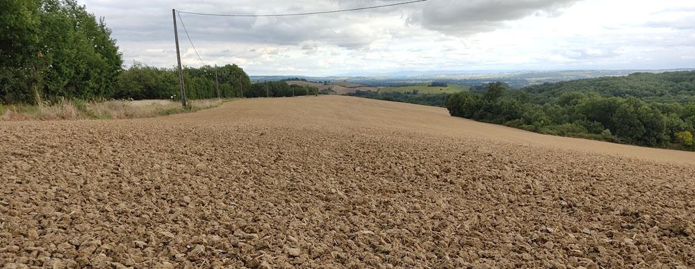 terresinovia's tweet photo. [Actu Sud-Ouest]
#Semis et levée des colzas pénalisés par le manque d’eau 
Le manque de pluie pénalise l’implantation du #colza et la majorité des secteurs sont dans l’attente d’une #pluie suffisante permettant d’assurer la levée et un début de croissance.
https://t.co/kG7jfxzKz6 https://t.co/ZoxDkCbISH