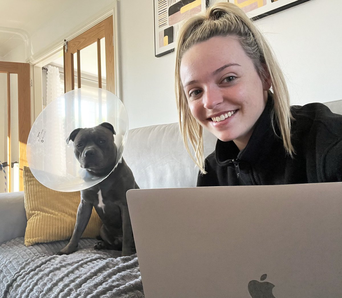 Today I’ve had to relocate my office to the sofa to keep an eye on my dog while he recovers from his operation 🐾

Not sure if he is moody because of the cone or whether he is bored of me talking to him about my ticket all day 🤣