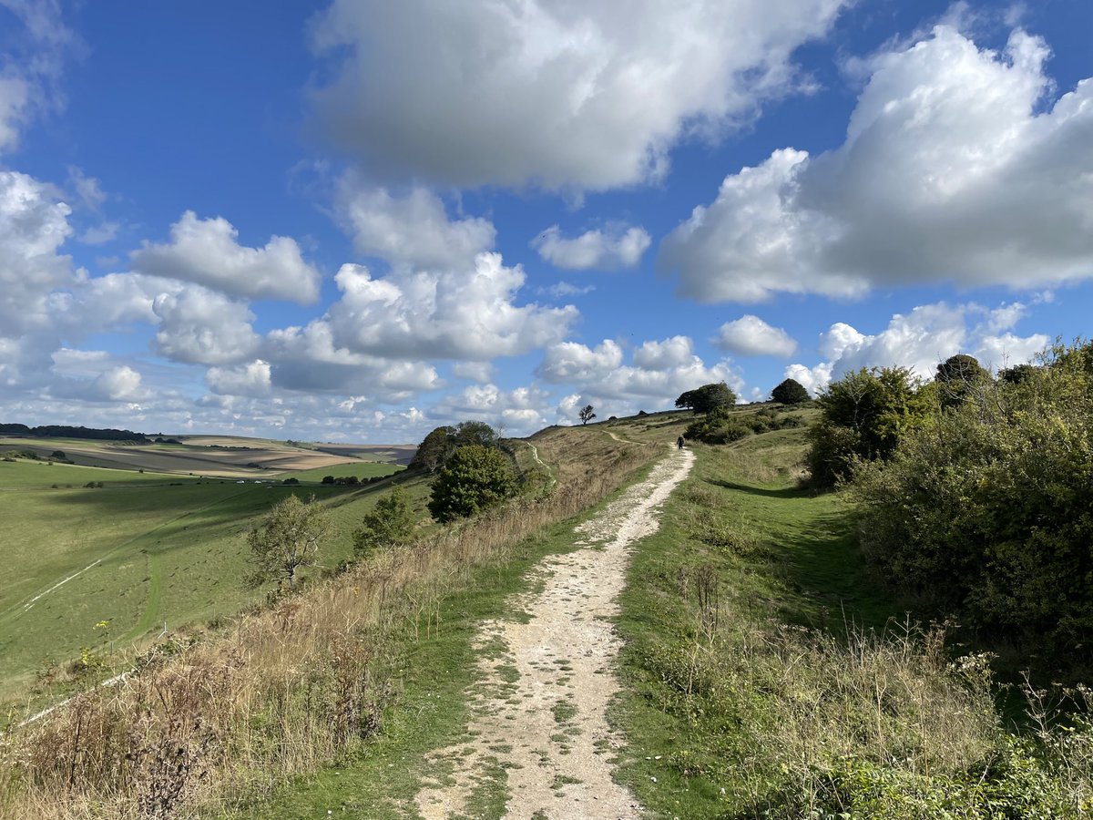 EmmaCameron9's tweet photo. Gorgeous day on #CissburyRing - saw several kestrels, what looked like two house martins and lots of giant mushrooms. Beautiful leaf patterns under the spreading oak. #WritingWalks @SussexWildlife @sdnpa @worthingbirding https://t.co/zmQMbvMFPN