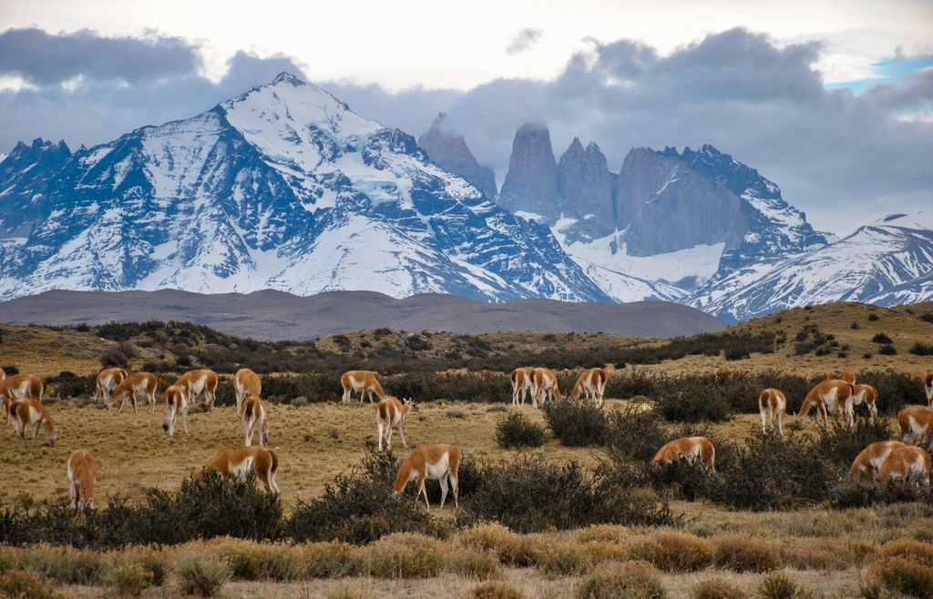 RootAdventures's tweet image. 🥾 ONLY 2 SPOTS LEFT! 🏔️ 

When you step foot onto the vast lands of Torres del Paine, you will immediately be immersed in the majesty and mysticism of the stories that infuse its beauty.