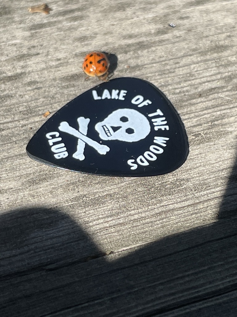 Clark Copland tweet media