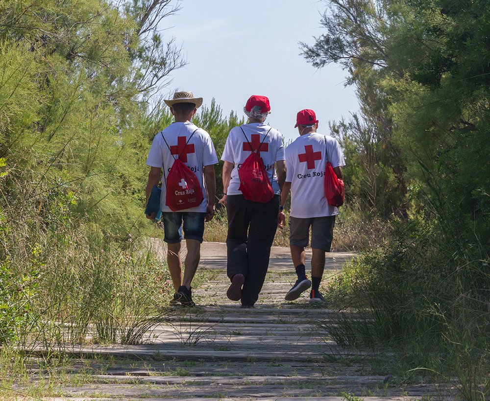 CruzRojaVLC tweet picture