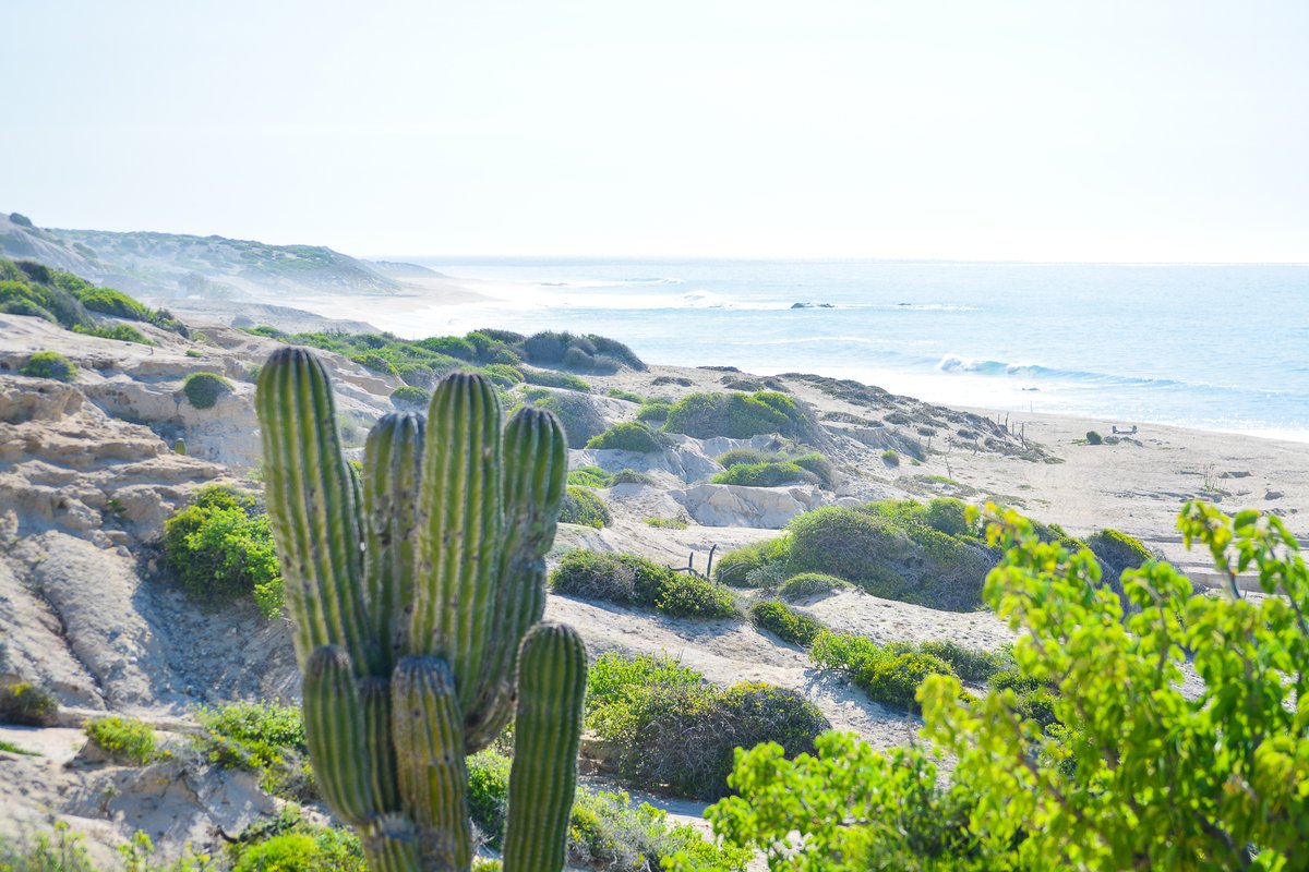 Enjoy the beautiful landscapes of the Baja!

#labaja #bajasur #loscabos #jeep #jeep4x4 #summer #cabopulmo #roadtrip #familytrip #couples #hightideloscabos #hightide