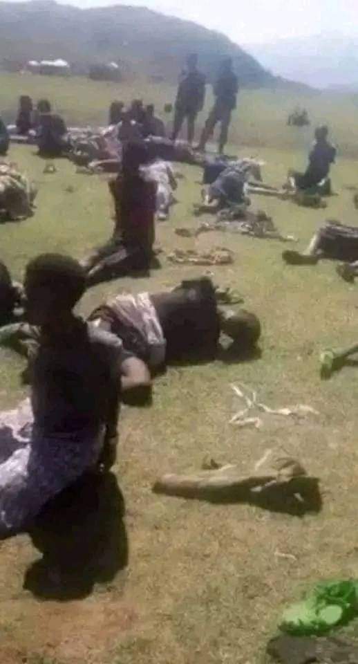 abutefull's tweet photo. @AbiyAhmedAli Oromia is the land of blood Oromia is the land of blood Oromia is the land of blood Stop the destruction of the Amhara race in the Oromia region. https://t.co/e7tidOYqLe