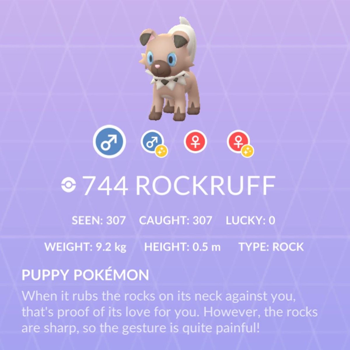 JBruno81's tweet photo. Journey to catch 3 #ShinyRockRuffs has finally come to a end two days ago. Grand total #RockRuffRaids 307. My #FirstShiny was caught after the 70th #Raid on 04/11 #SecondShiny caught after the 280th Raid on 7/14 & the #ThirdShiny caught after the 307th Raid. #PokemonGo #Pogo https://t.co/Mgyd7hiRJs