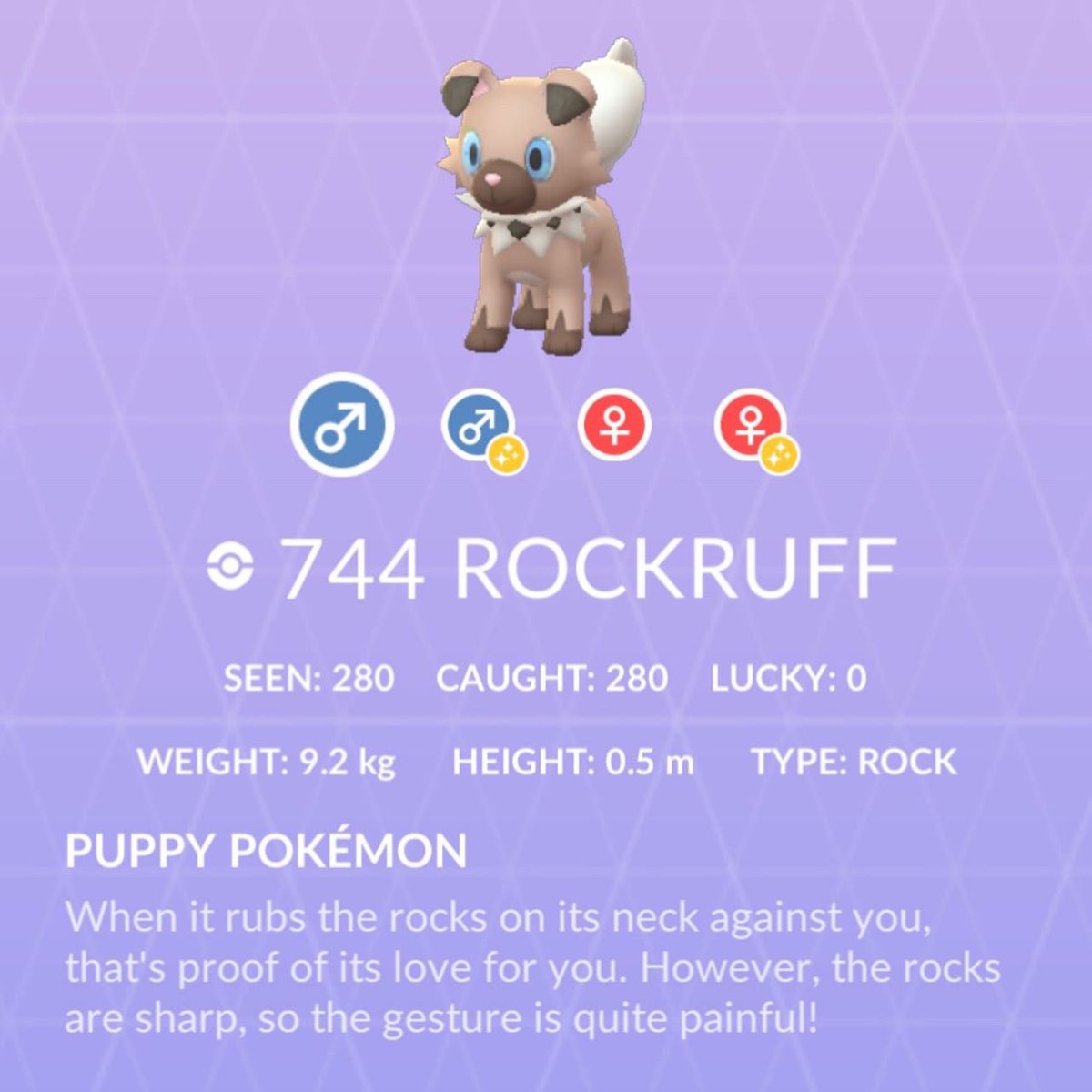JBruno81's tweet photo. Journey to catch 3 #ShinyRockRuffs has finally come to a end two days ago. Grand total #RockRuffRaids 307. My #FirstShiny was caught after the 70th #Raid on 04/11 #SecondShiny caught after the 280th Raid on 7/14 & the #ThirdShiny caught after the 307th Raid. #PokemonGo #Pogo https://t.co/Mgyd7hiRJs