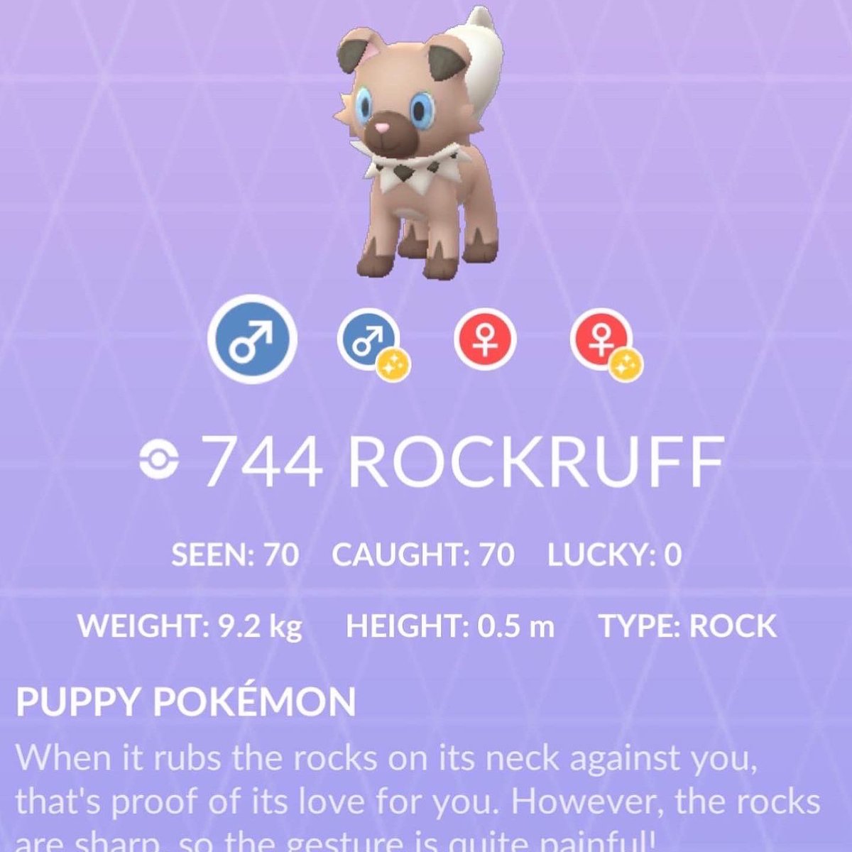 JBruno81's tweet photo. Journey to catch 3 #ShinyRockRuffs has finally come to a end two days ago. Grand total #RockRuffRaids 307. My #FirstShiny was caught after the 70th #Raid on 04/11 #SecondShiny caught after the 280th Raid on 7/14 & the #ThirdShiny caught after the 307th Raid. #PokemonGo #Pogo https://t.co/Mgyd7hiRJs
