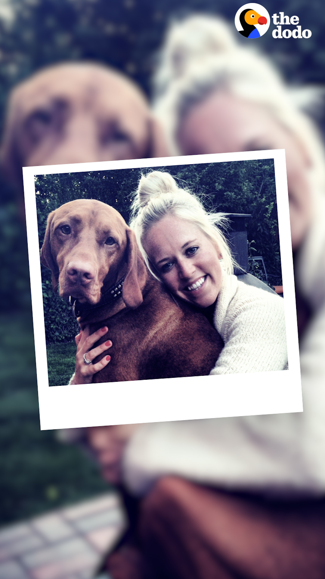 The Dodo On Twitter All The Beautiful And Tiny Moments In One Dog S