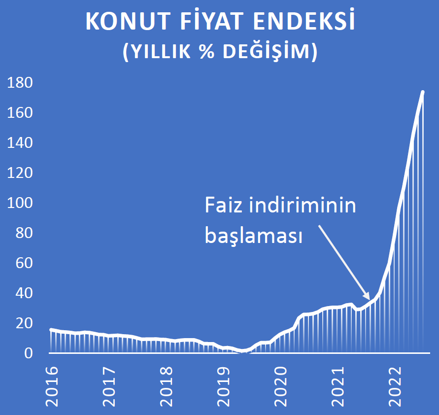 Bu grafiği sürekli güncelliyorum çünkü ilerde ibretlik bir vaka olarak ders kitaplarına girecek.