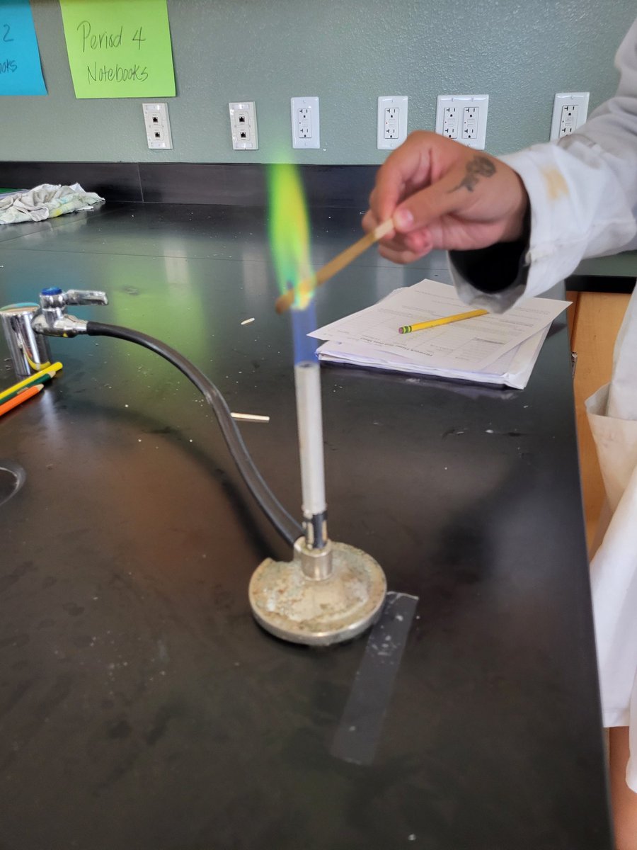 Sarah Elwin tweet media