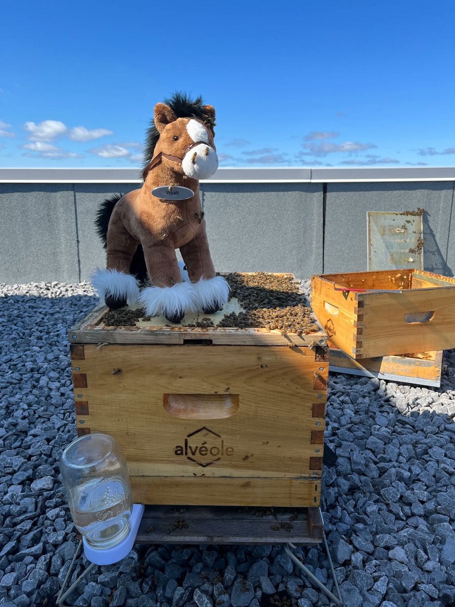 Andrew Horsfield tweet media