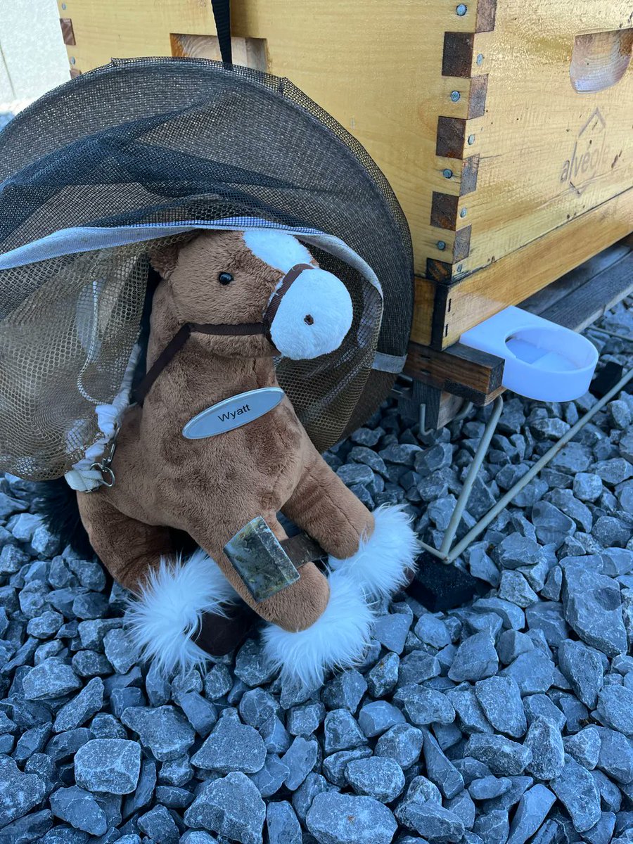 Andrew Horsfield tweet media