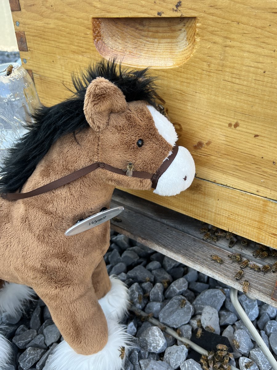 Andrew Horsfield tweet media