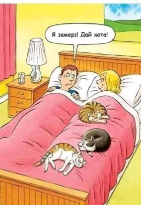 А у нас вчера включили отопление,а у вас?
