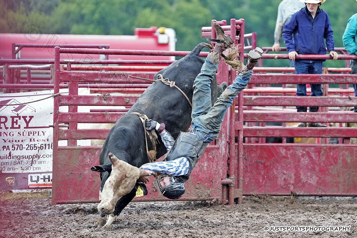 JustSports_AHL's tweet photo. 09-11-2022 The 10 Annual Monroeton Rodeo
All Images available - https://t.co/OCNQ2lkh6e
#monroetonrodeo
#aprarodeo
#iprarodeo
#paintedponyrodeo
#rodeo
#bullriding
#barebackbronc
#broncriding
#TeamCalfRoping
#CalfRoping
#steerwrestling
#steerwrestler
#barrelracer
#barrelracing https://t.co/1weeCGK827