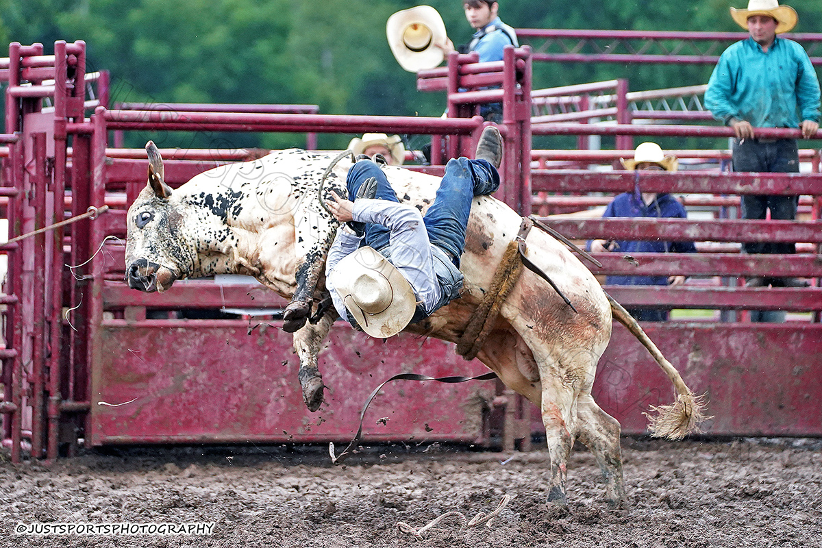 JustSports_AHL's tweet photo. 09-11-2022 The 10 Annual Monroeton Rodeo
All Images available - https://t.co/OCNQ2lkh6e
#monroetonrodeo
#aprarodeo
#iprarodeo
#paintedponyrodeo
#rodeo
#bullriding
#barebackbronc
#broncriding
#TeamCalfRoping
#CalfRoping
#steerwrestling
#steerwrestler
#barrelracer
#barrelracing https://t.co/1weeCGK827