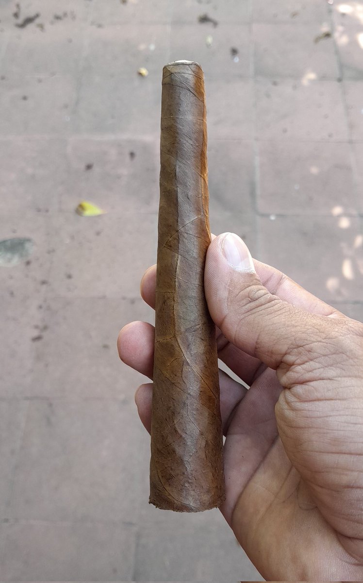cigars_eztli's tweet photo. a totally handmade cigar completely without mold this magnificent cigar is a diameter 42 of the head and 58 of the mouthpiece with a length of 6 inches #cigas #Nicaragua #buenoshumos https://t.co/SDxrQK29nr