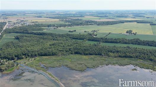 🚨 LAKE FRONT PROPERTY 🚨 Could this be your next swine operation? 95 acre cash crop farm is up for grabs in Lambton Shores, Ontario! 40 acres currently being rented — check it out here: farms.com/farm-real-esta… #OntAg #FarmRealEstate #AgTwitter #CashCrop #Swine #FarmForSale