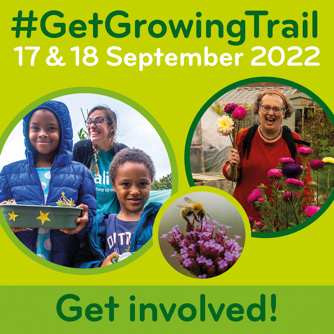 We’re jumping the gun by a week, but the #autumn  🍁🍂🎃 edition of our #communitygardens newsletter has just gone out. It features all the latest news from us, including another nudge about this weekend’s #GetGrowingTrail, where we hope to see you! mailchi.mp/aliveactivitie…