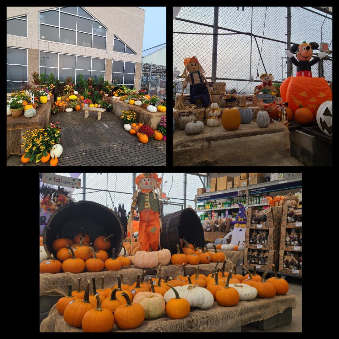 Shout out to Lynn and Pam for getting Summersville ready for fall. 🎃🍂 <a href="/JBBailey9/">JBBailey</a> <a href="/BlueBoxR1/">@BlueBoxR1</a> <a href="/johneric88/">John Pyatt</a> @trstnmtchll1