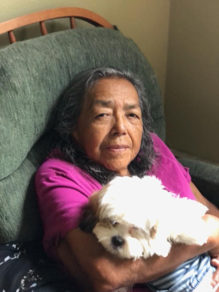 arianna salinas tweet media