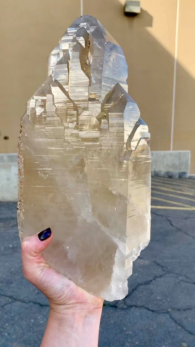 GeologyTime's tweet photo. Magical 🪄
Cathedral smokey quartz 💛
From Minas De Gerais, Brazil ✨

Photo: Pacific Minerals

#minerals #crystals https://t.co/Y8zBAy0pgx