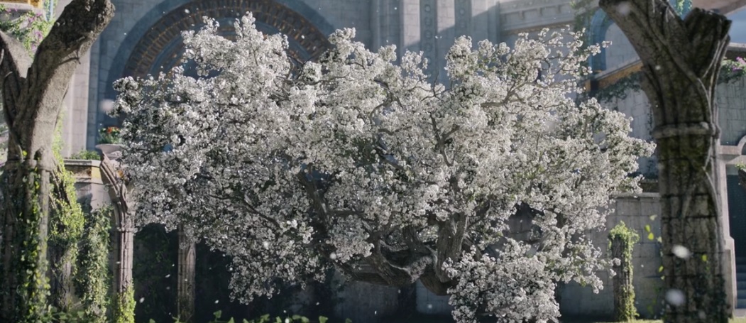 wizard_wheels's tweet photo. "Tar-Palantir's gift of foresight allowed him to ascertain if the White Tree perished, then the line of Kings would also come to an end". #Tolkien #Númenor #Nimloth https://t.co/txUaGJZEBV