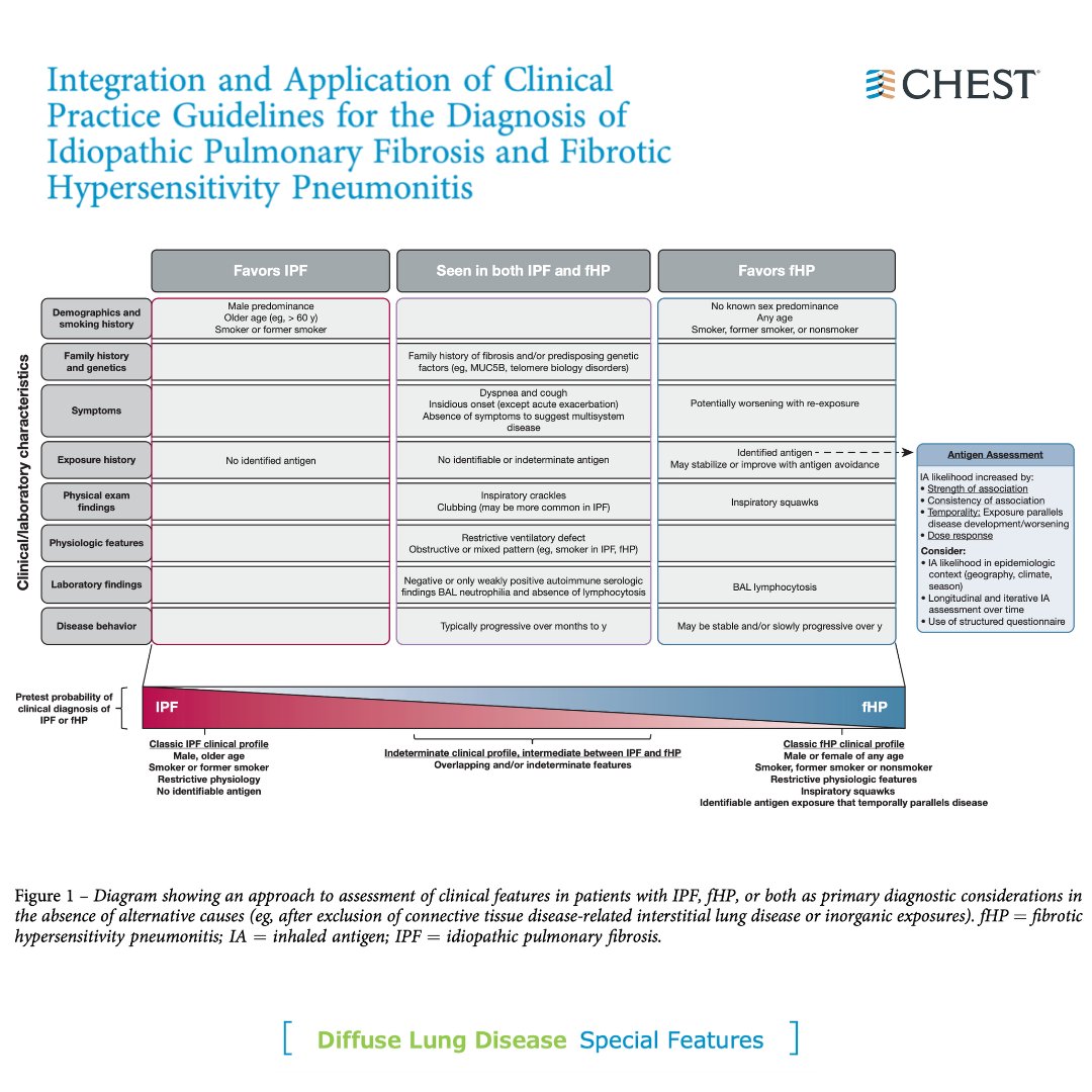 accpchest's tweet photo. Integration and application of clinical practice guidelines for the diagnosis of idiopathic pulmonary fibrosis and fibrotic hypersensitivity pneumonitis.
Read the article from the September @journal_CHEST issue: https://t.co/jO1iDnoxyy
#CHESTTrainees #PFMonth #MedEd https://t.co/tgU1biBjNt