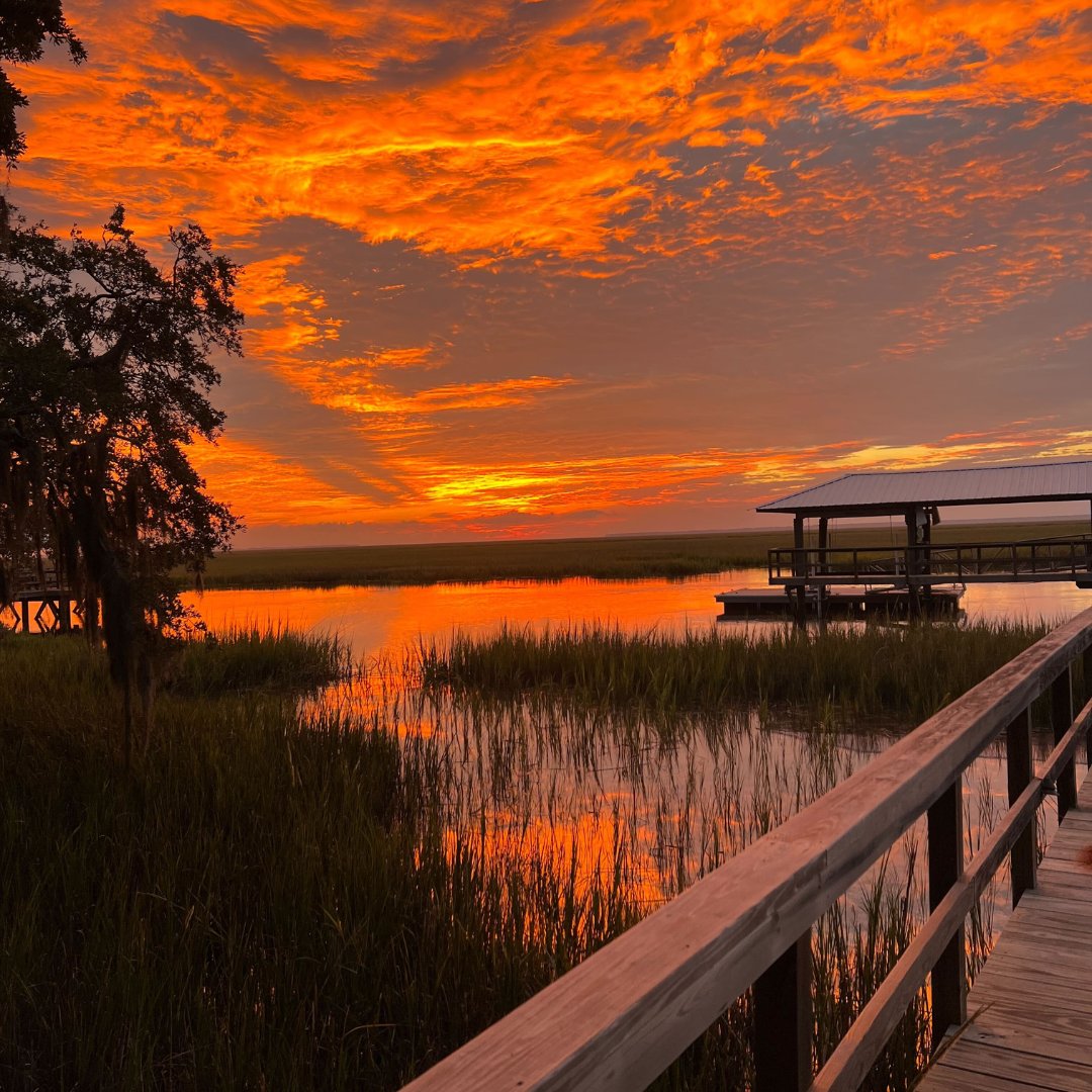 Philippians 4:19. "And my God will supply all your needs according to His riches in glory in Christ Jesus."
#powerfromtheson/sun #sunpower/sonpower