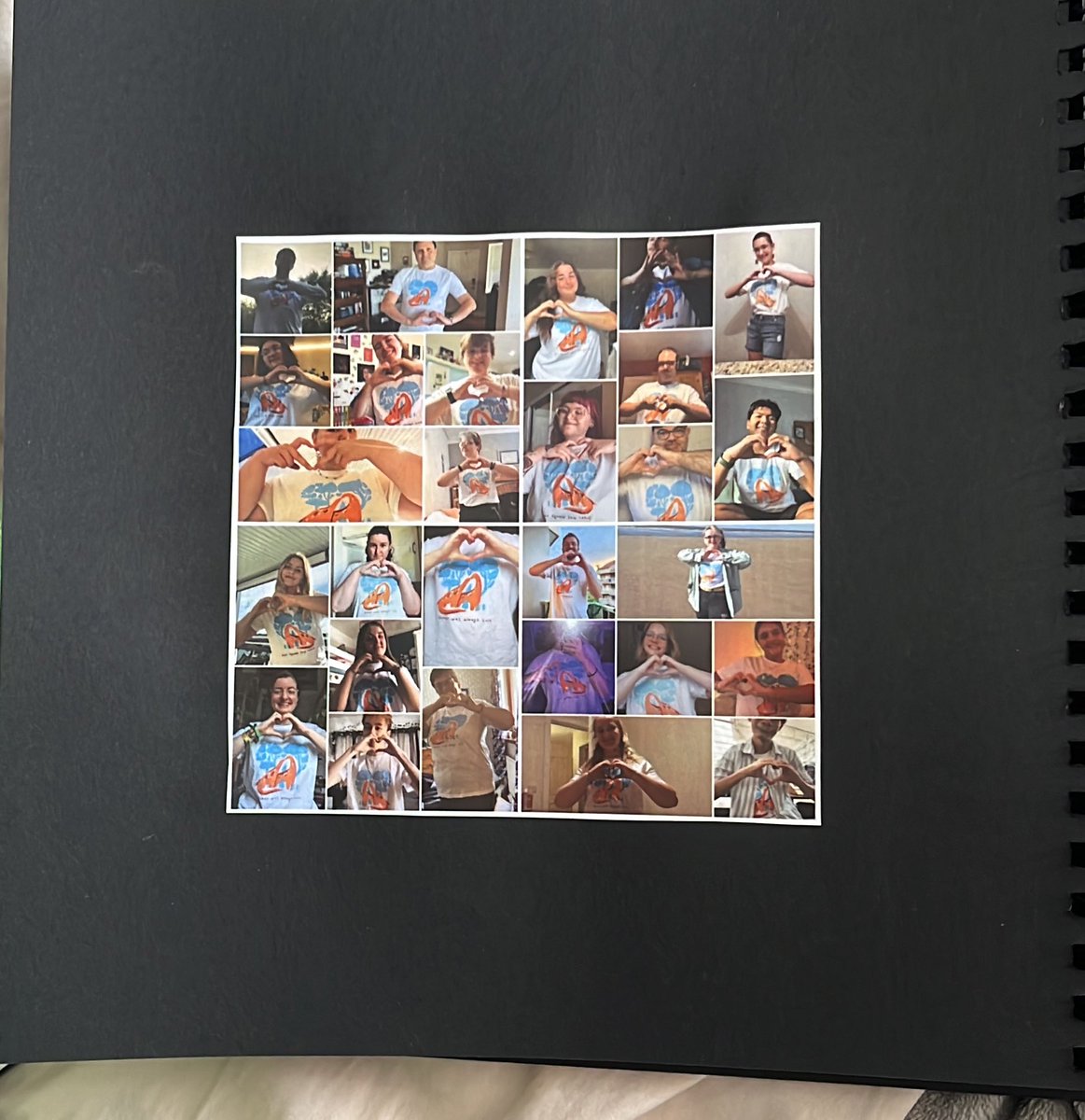 queer was always here🦕🏳️‍🌈 tweet media