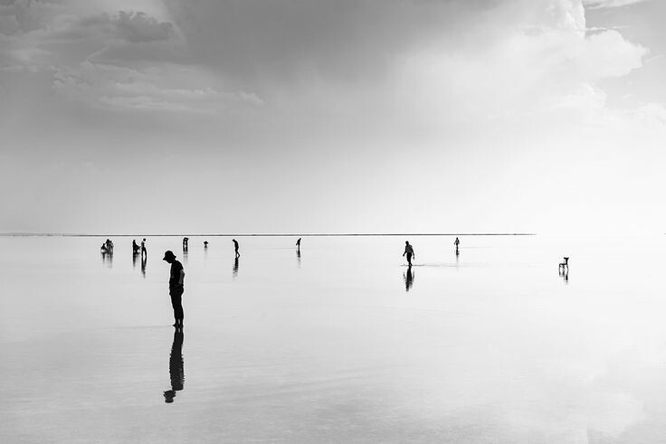 literland tweet media