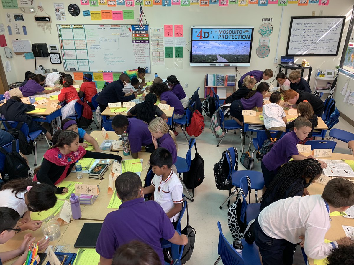 Lee County Mosquito Education tweet media