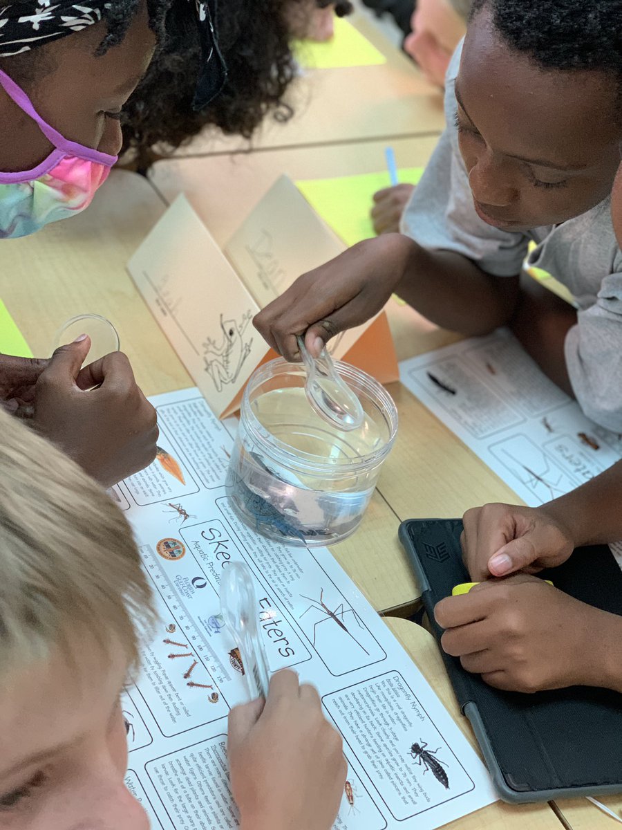 Lee County Mosquito Education tweet media