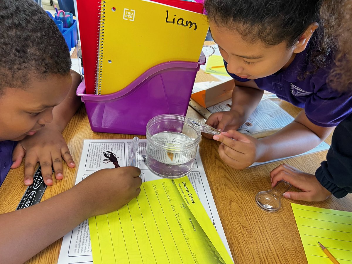 Lee County Mosquito Education tweet media