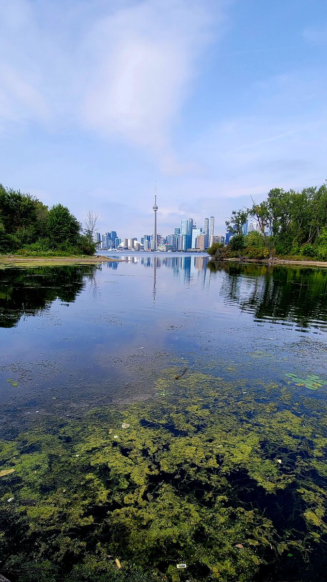 PRproToronto's tweet photo. My view today 👇 https://t.co/Hu94wiLIAk