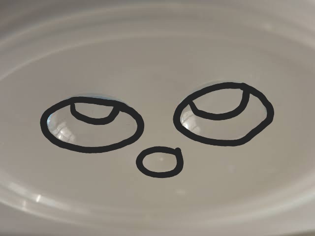 7OhTa11's tweet photo. @masuumiusui It's staring into my soul. https://t.co/0yapep4QQ3