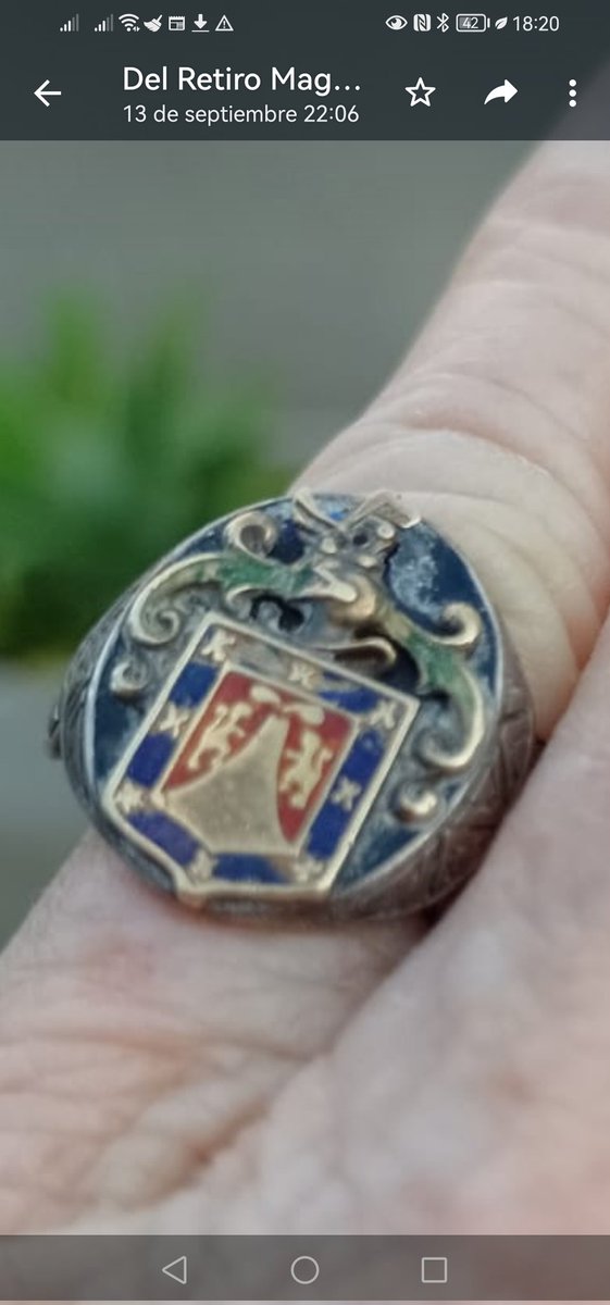 ¿Algún entendido en heráldica que me pueda orientar?
Acabo de conocer este anillo. Perteneció a un antepasado, pero desconozco el significado del escudo.