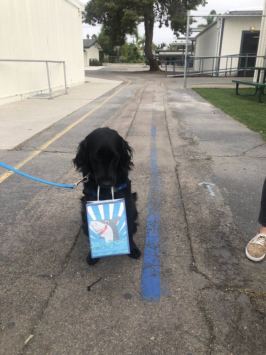 When coworkers become family and make you feel so loved and appreciated on your birthday! 🥳🦈🐾#Ohana #WeAreVIDA <a href="/VIDASHARKS/">VIDA (6-8 Magnet)</a>