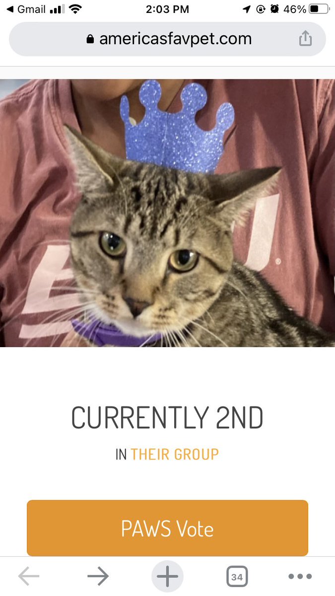 gamsmithllc's tweet photo. Thank you friends for your votes for Landon! You helped him to reach 2nd place. Sept 27th 5 more will be eliminated so we can’t stop now. We need you daily!!! With your Facebook verification you can vote free! https://t.co/JovmC8souI https://t.co/IG2bw8DqBX